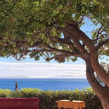 L'Arbousier Bed & Breakfast Le Le Rayol-Canadel-sur-Mer Eksteriør bilde
