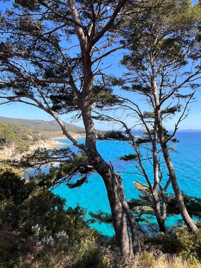 L'Arbousier Bed & Breakfast Le Le Rayol-Canadel-sur-Mer Eksteriør bilde