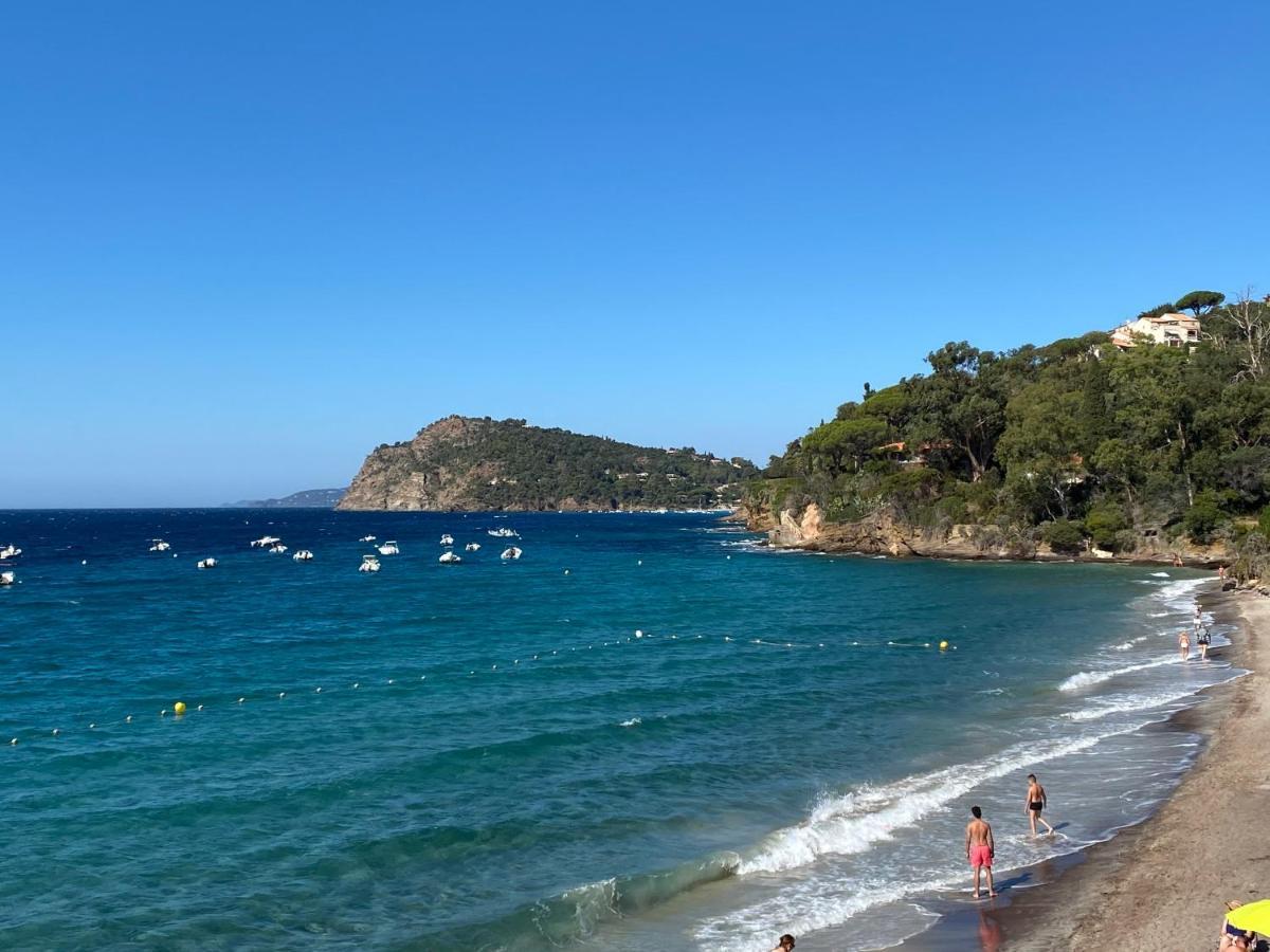 L'Arbousier Bed & Breakfast Le Le Rayol-Canadel-sur-Mer Eksteriør bilde